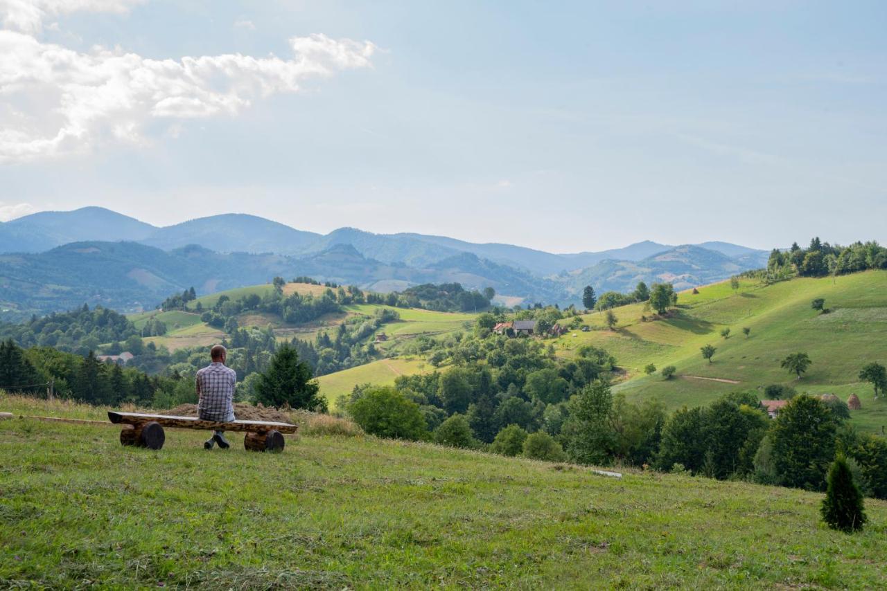 My Little Village Poiana Mărului 외부 사진