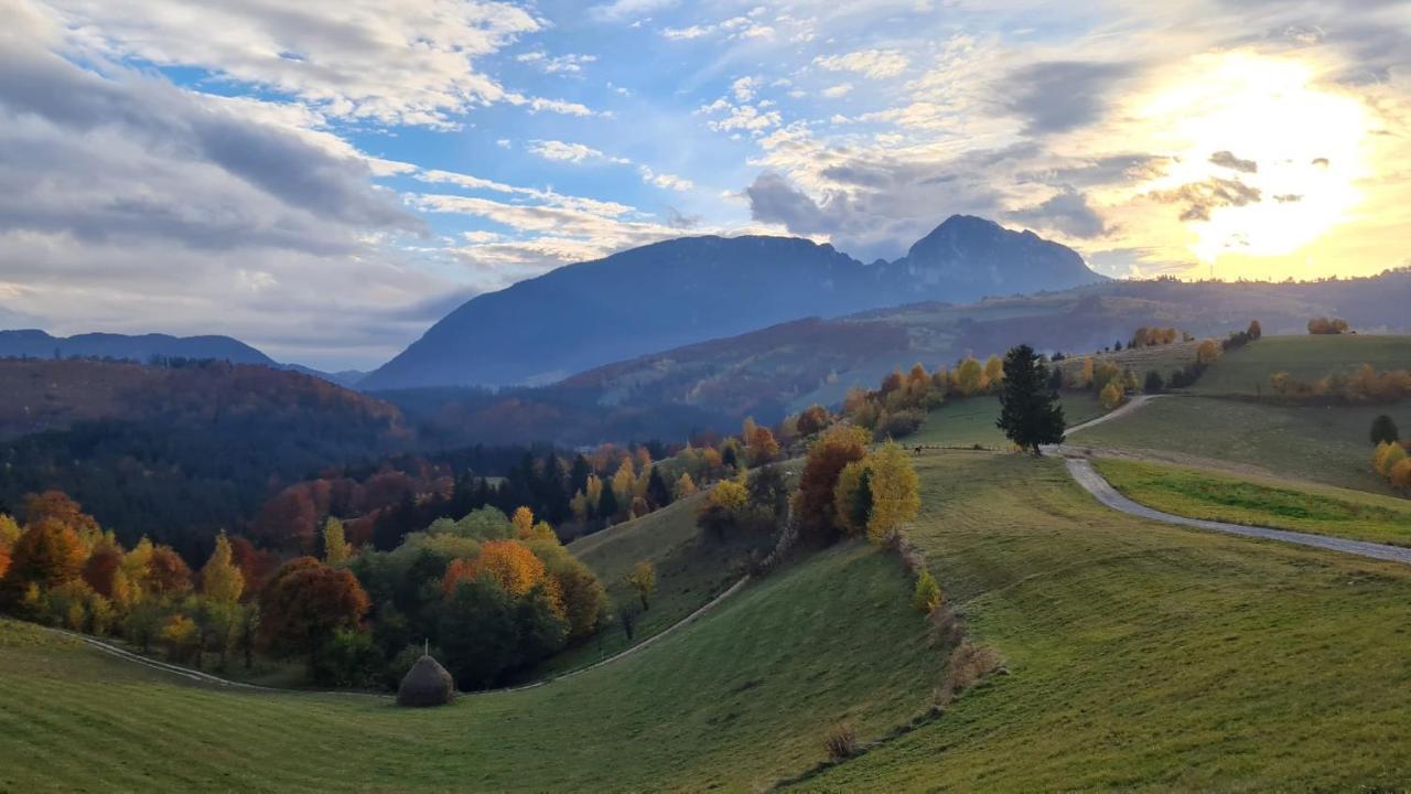 My Little Village Poiana Mărului 외부 사진