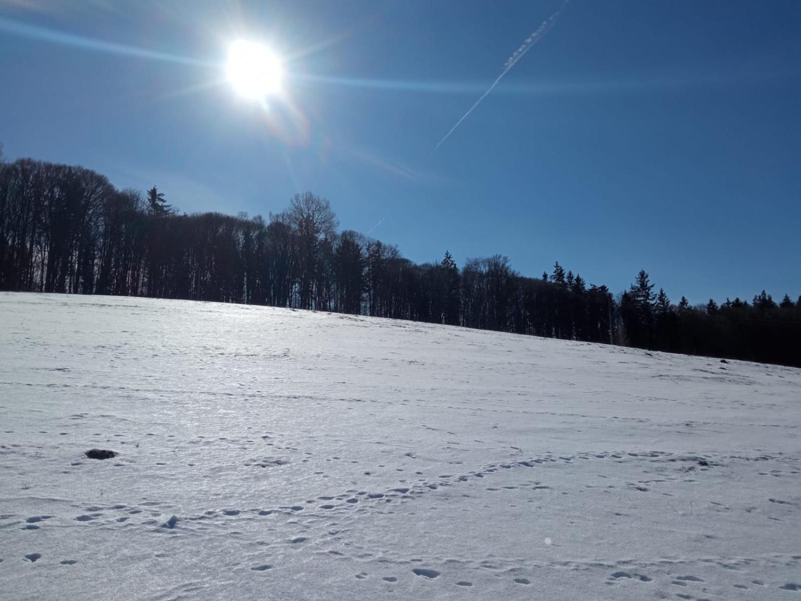 My Little Village Poiana Mărului 외부 사진