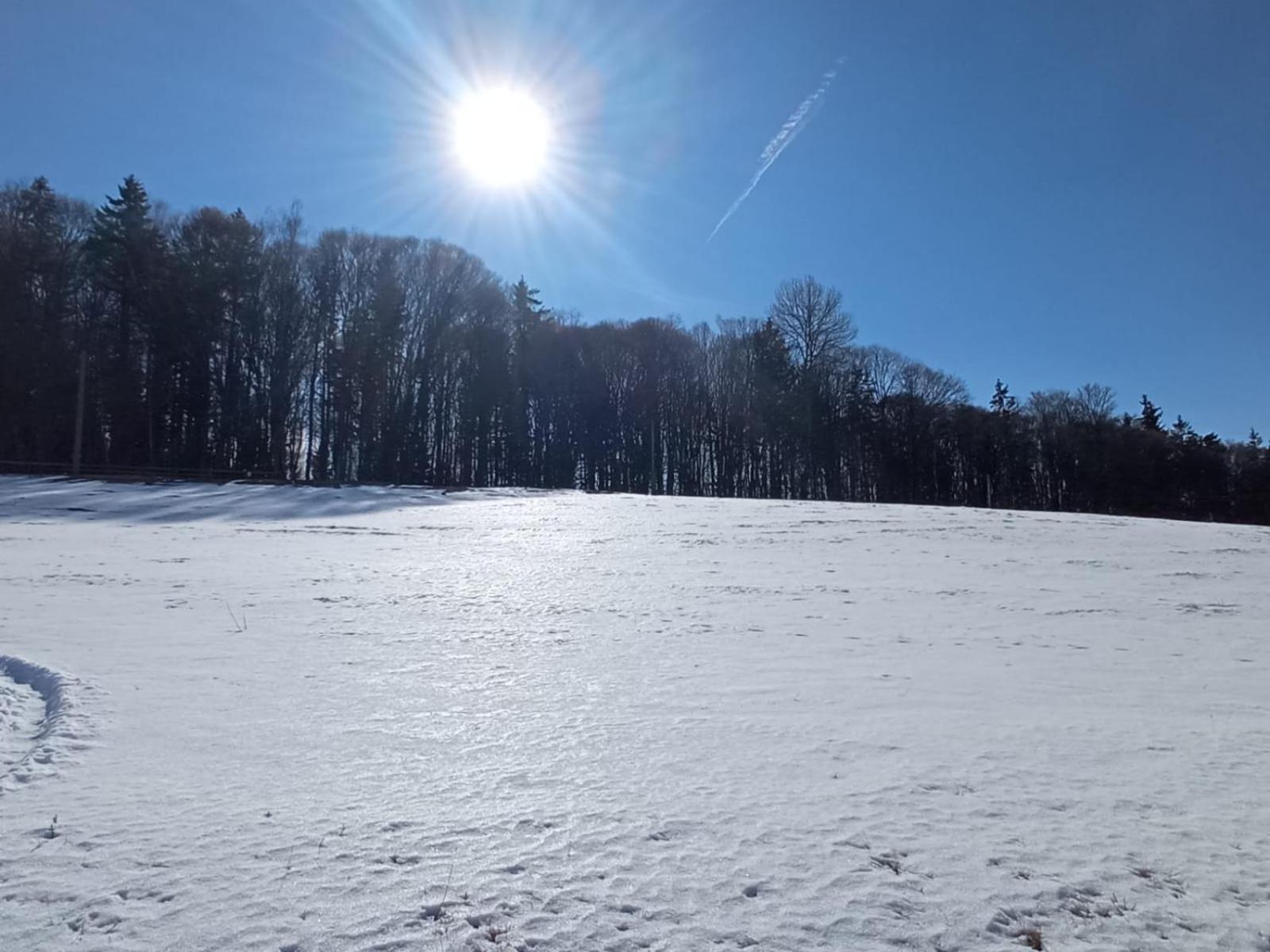 My Little Village Poiana Mărului 외부 사진