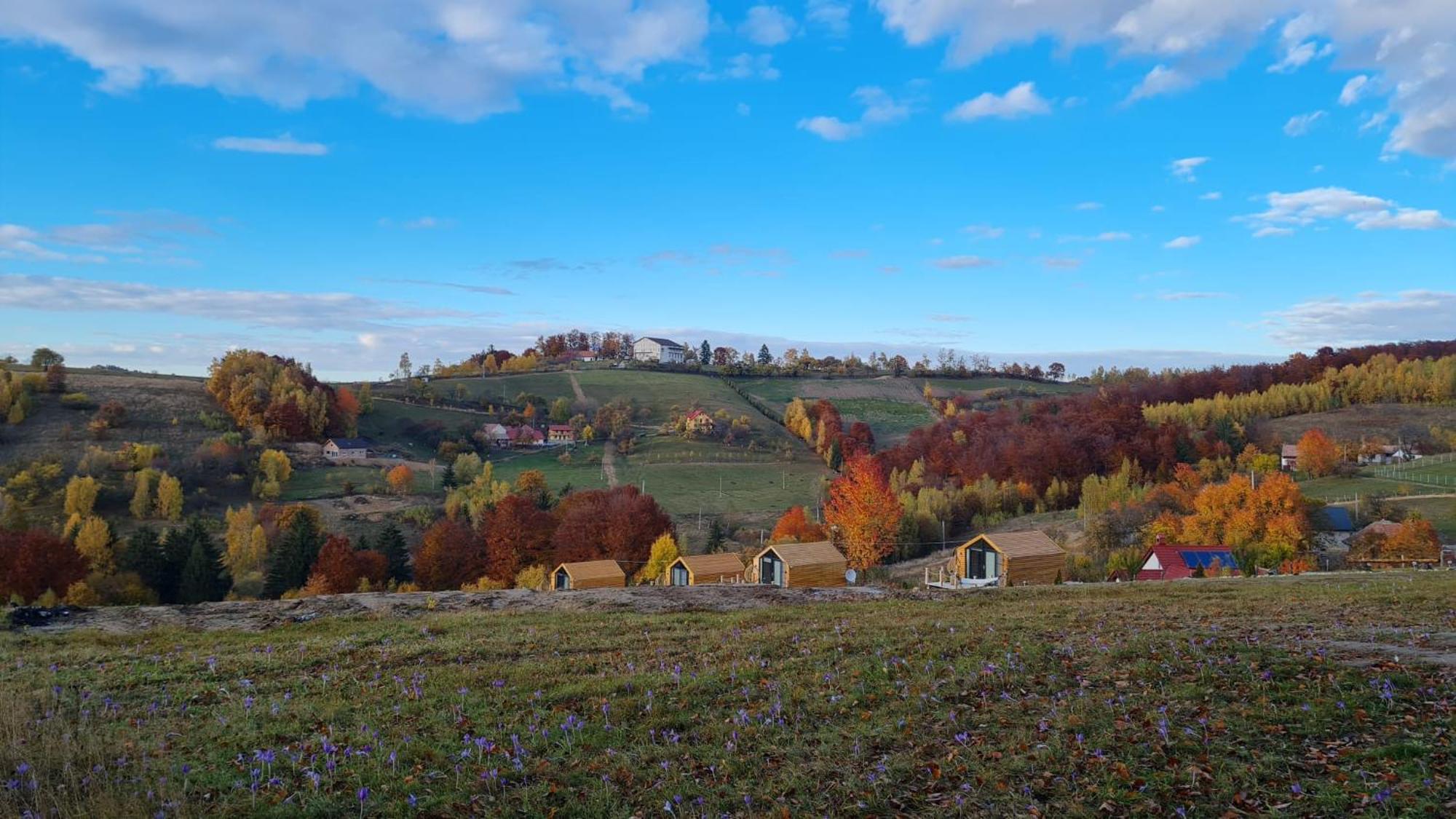 My Little Village Poiana Mărului 외부 사진