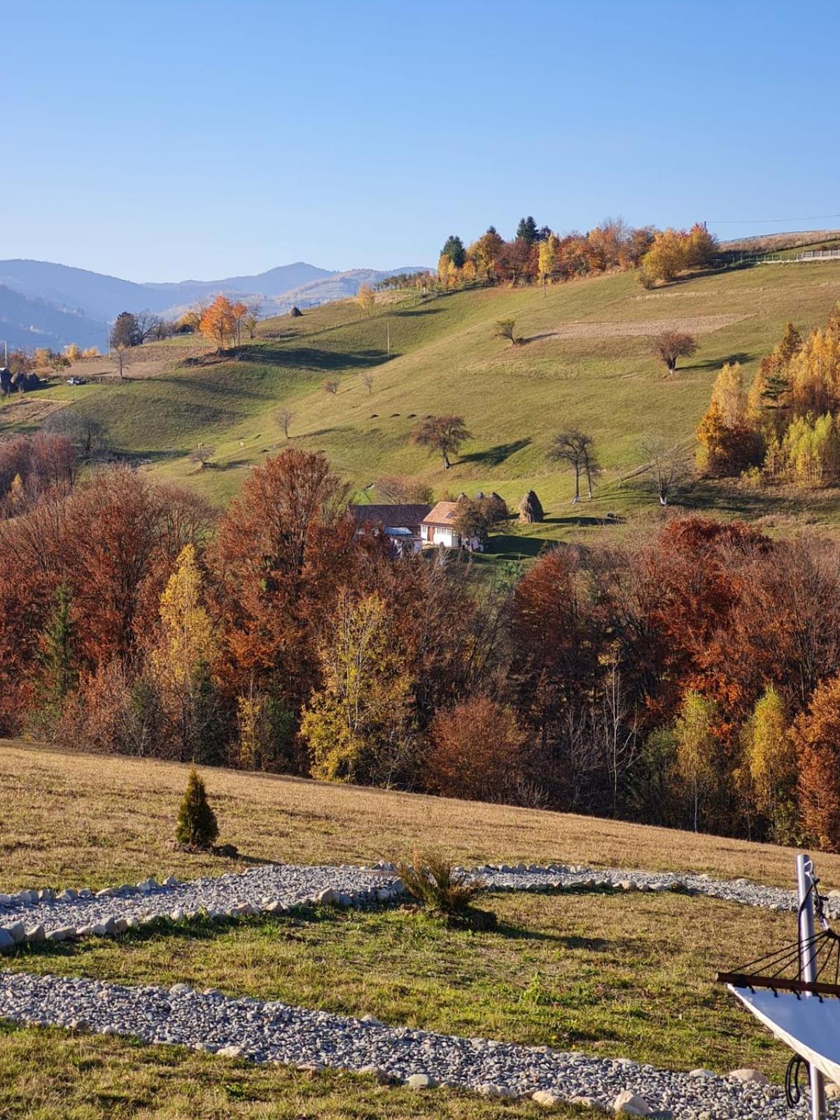 My Little Village Poiana Mărului 외부 사진