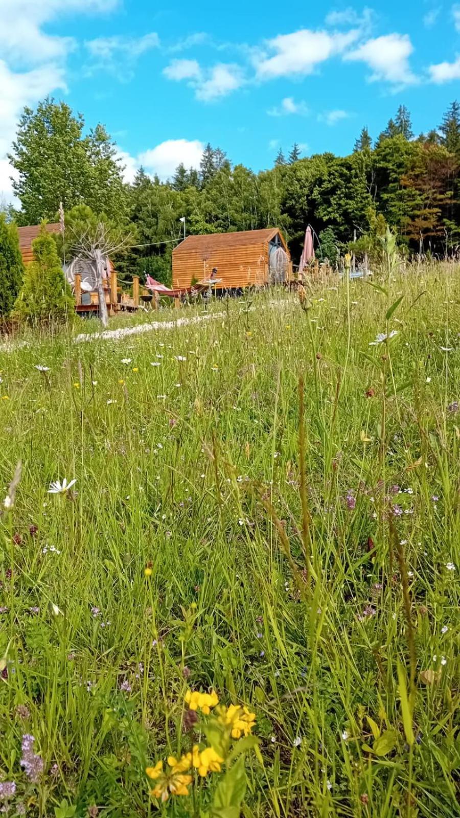 My Little Village Poiana Mărului 외부 사진