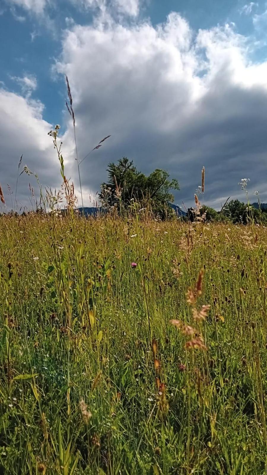 My Little Village Poiana Mărului 외부 사진