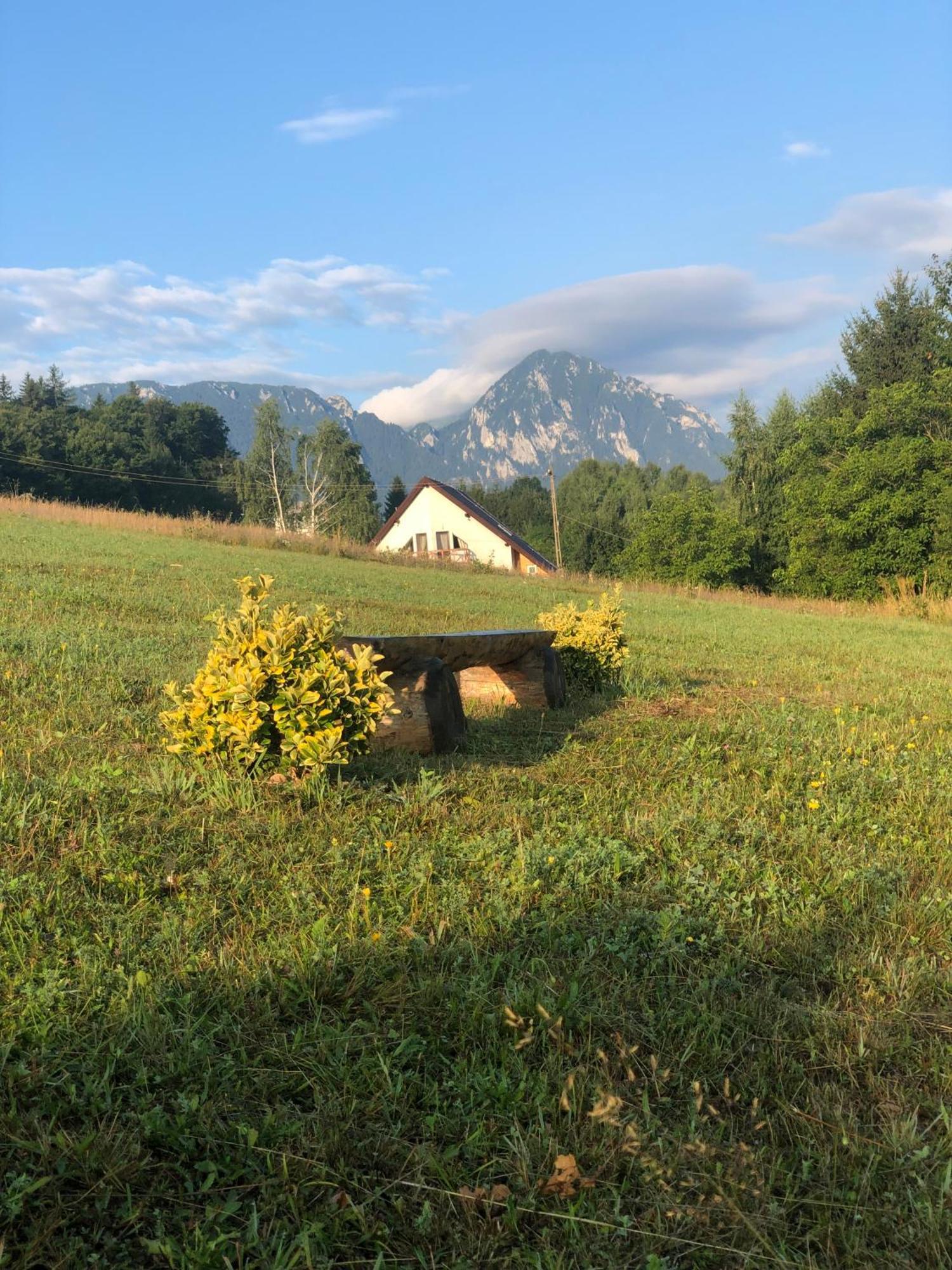 My Little Village Poiana Mărului 외부 사진